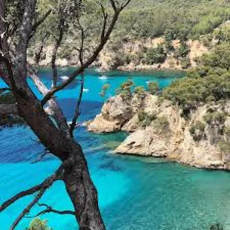 Le Retour * Saint-Cyr-sur-Mer